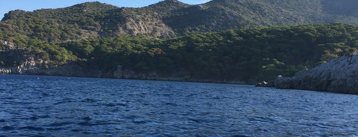 Ölmez Koy Bacardi Bay is one of Dalyan.
