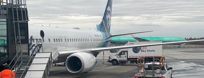 Paine Field - Snohomish County Airport (PAE) is one of Airports.