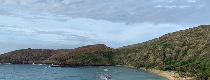 Hanauma Bay Snorkel Adventures is one of Favorites in Honolulu.
