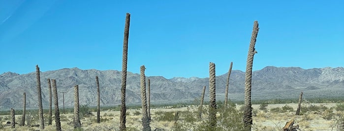 Palm Tree Graveyard is one of West To-Do List.