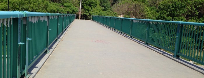 Discovery Walk DVP Footbridge is one of Locais curtidos por Kyo.