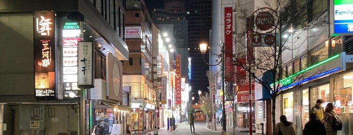 Akasaka-mitsuke is one of Things to do - Tokyo & Vicinity, Japan.