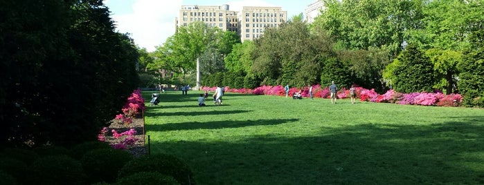 Brooklyn Botanic Garden is one of New-York.
