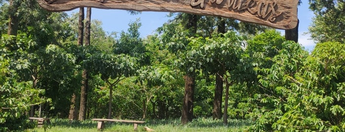 Bosque das Grevíleas is one of Paraná.