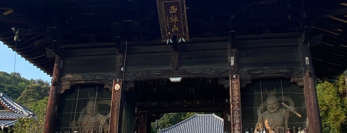 西林山 三蔵院 浄土寺 (第49番札所) is one of 四国八十八ヶ所霊場 88 temples in Shikoku.