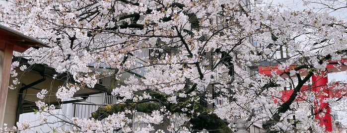 洲崎神社 is one of ex- TOKYO.