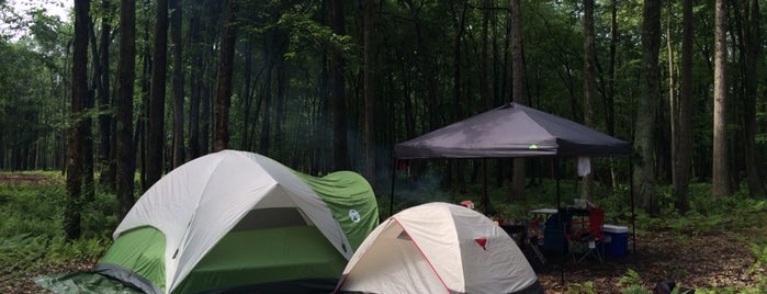 Lee's Campground is one of Tempat yang Disukai Christopher.