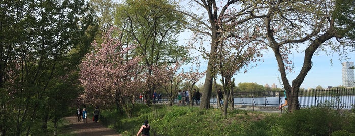 Central Park is one of Tempat yang Disukai IrmaZandl.