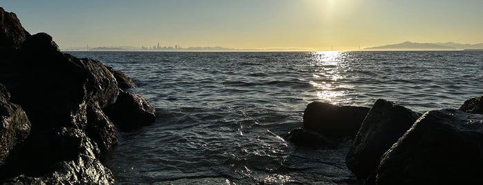 Point Isabel Regional Shoreline is one of East Bay To-Do.