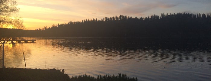 Nine Mile Recreation Area is one of Washington state parks.
