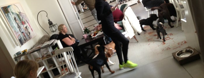 Coffee and Friends is one of Dog friendly Stockholm.