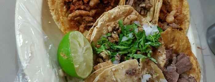 Tacos Arbol Grande is one of Locais curtidos por Ademir.