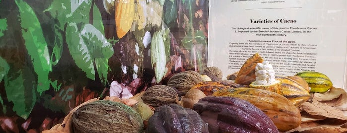 Kakaw, Museo del cacao & chocolatería cultural is one of Locais salvos de Manuel.