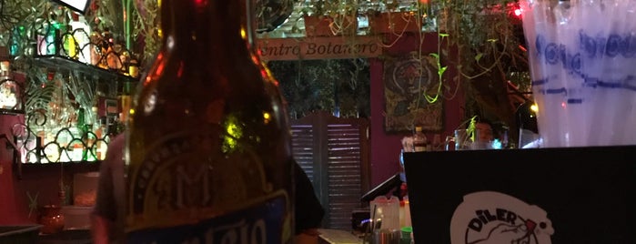 La Verbena is one of The 15 Best Places for Beer in Playa Del Carmen.