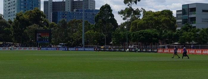 Arden St Oval is one of AFL Venues.