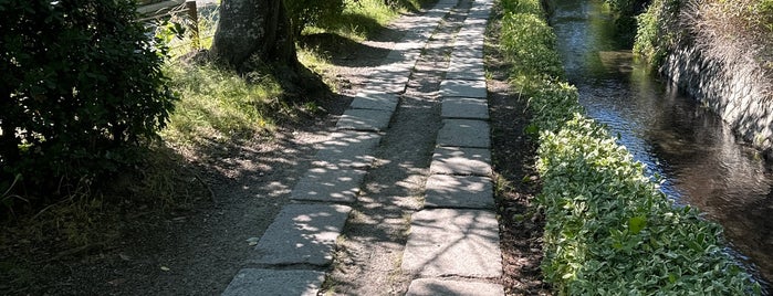Philosopher's Path is one of Things to do in Kyoto.