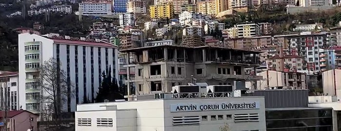 Artvin is one of Şehirler.