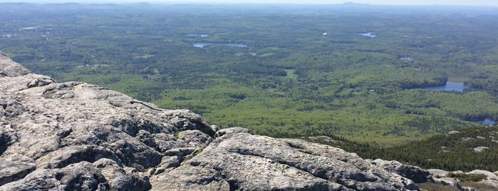 Mt Monadnock (summit) is one of Misc Awesome.