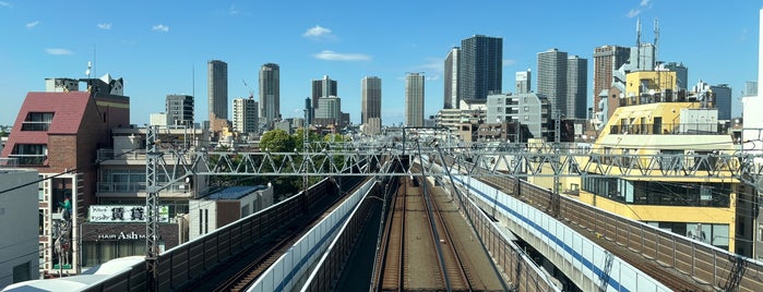 Motosumiyoshi Station (TY12/MG12) is one of stations.