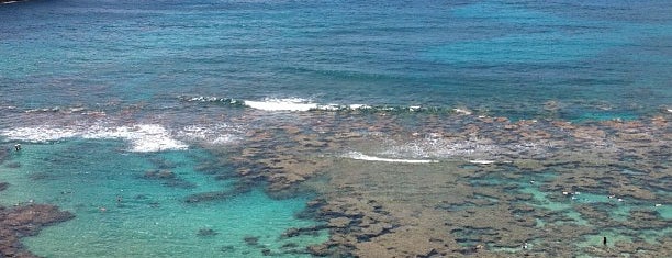 Hanauma Bay Nature Preserve is one of Oahu.