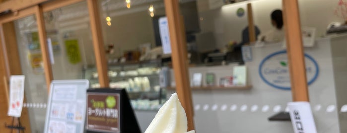 CowCow Yoghurt is one of Takayama.