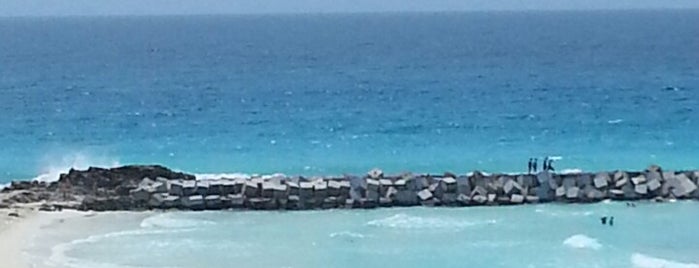 Cancún is one of สถานที่ที่ Marco ถูกใจ.