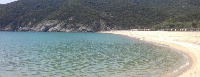 Thalatta Beach is one of Sithonia, Greece.