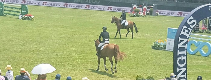 Longines Global Champions Tour Mexico is one of Orte, die Nika gefallen.