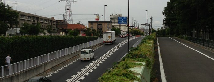 小平グリーンロード立体 is one of 多摩湖自転車道.
