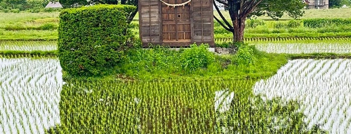 荒神神社 is one of 岩手.