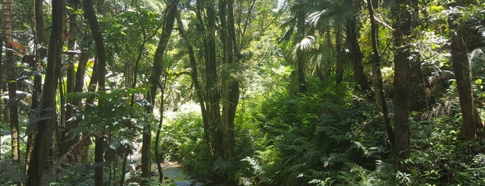 Onomea Bay Scenic Trail is one of Orte, die Klausz gefallen.