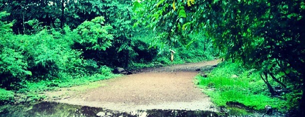 Sanjay Gandhi National Park is one of Mumbai's Best to See & Visit.