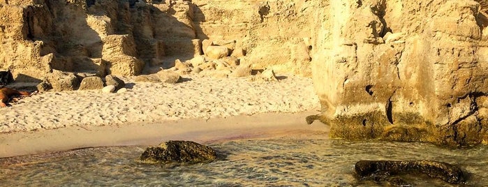 Platja Ses Salines is one of Ibiza.