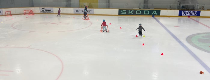 Icerink is one of Zimní stadiony v ČR.