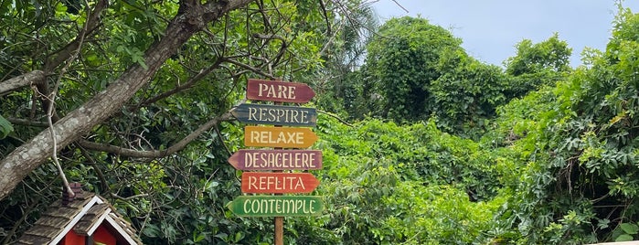 Campeche is one of Floripa Golden Isle.