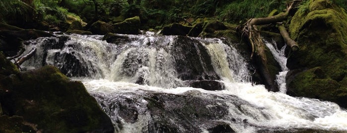 Golitha Falls is one of England 2015.