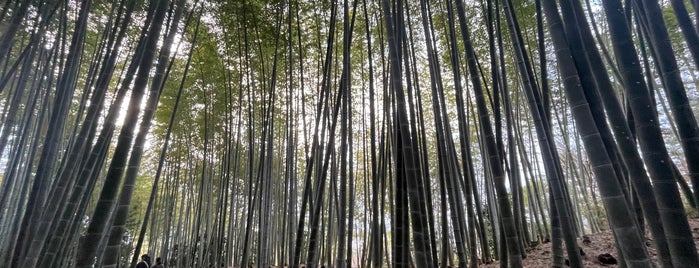 Kodai-ji is one of My experiences of Japan.