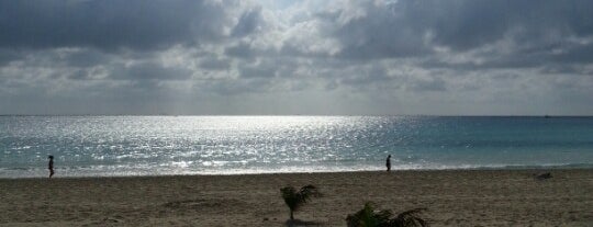 Playacar Beach is one of Merida - Cancun - Playa.