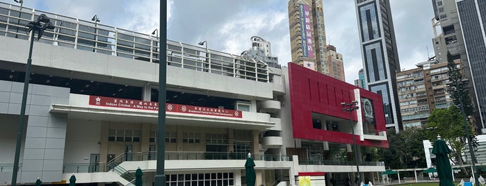 Craigengower Cricket Club is one of HKG Hong Kong.