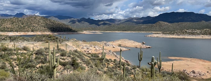 Bartlett Lake is one of Arizona.