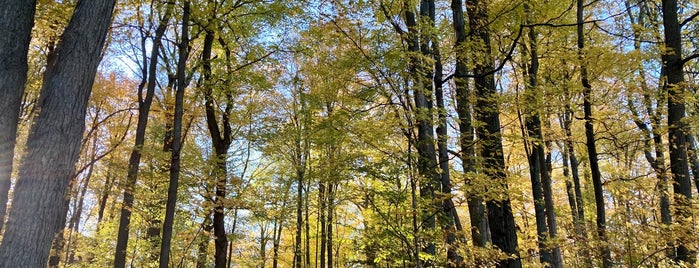 Crawford Lake Conservation Park is one of Guide to Halton's Outdoors.