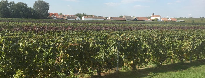 Weingut Pöckl is one of Burgenland.