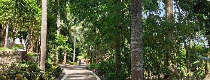 Mövenpick Resort & Spa Boracay is one of Philippines & Islands.