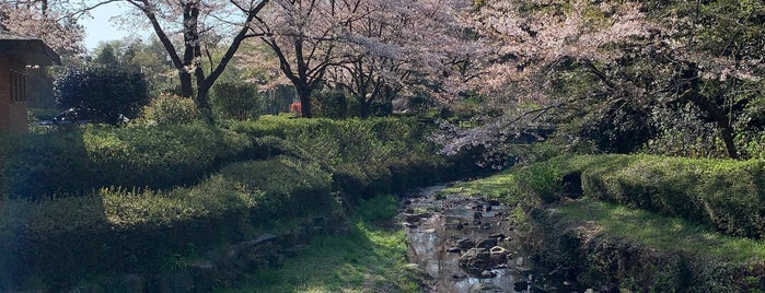 雀川砂防ダム公園 is one of 公園_埼玉県.