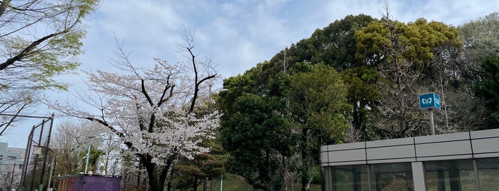 代々木深町小公園 is one of 行ったことがある-1.