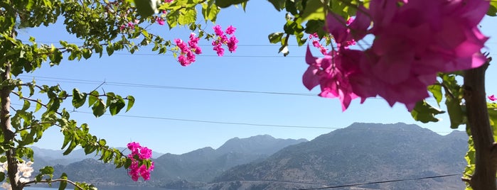 Selimiye Masal Tatilevi is one of Güney.