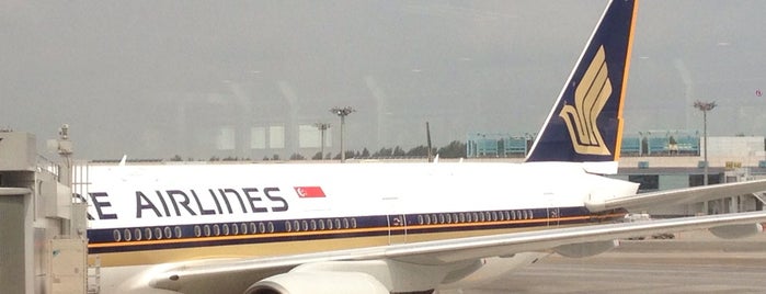 SQ494 SIN-DXB / Singapore Airlines is one of SQ Flights Departing SIN.