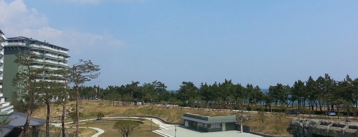 Lakai Sandpine Resort is one of nomnom de 강릉.