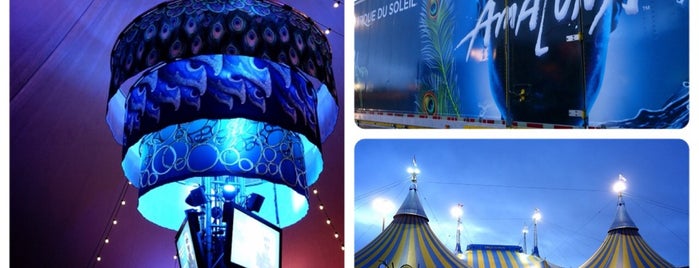 Cirque du Soleil: AMALUNA is one of Thaisa : понравившиеся места.