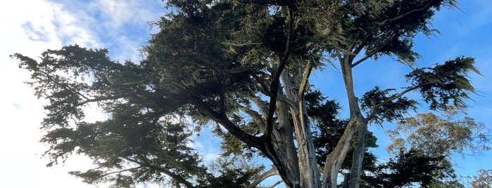 Hellman Hollow Picnic Area is one of San Francisco.